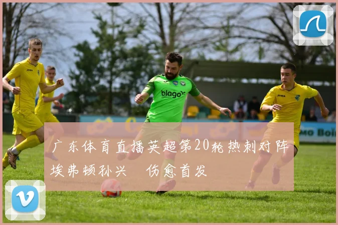 广东体育直播英超第20轮热刺对阵埃弗顿孙兴慜伤愈首发