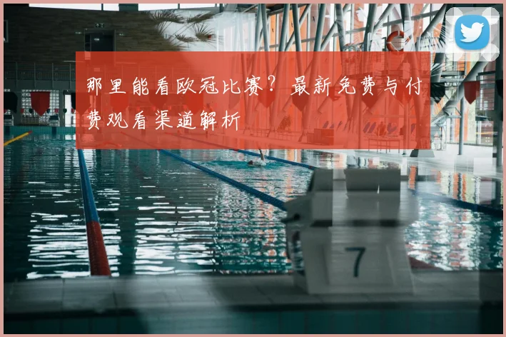 那里能看欧冠比赛？最新免费与付费观看渠道解析
