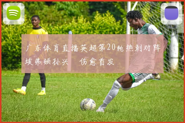 广东体育直播英超第20轮热刺对阵埃弗顿孙兴慜伤愈首发
